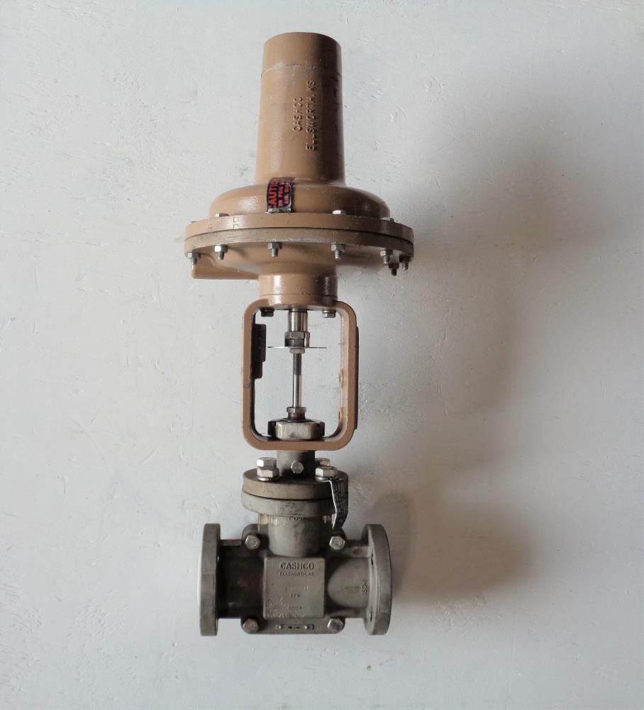 Cashco 1" 150# Control Valve, Teflon Lined, CF8, Model 521